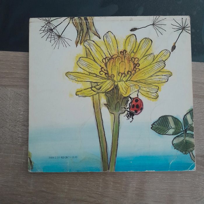 Album école des loisirs Je suis une coccinelle - photo numéro 5