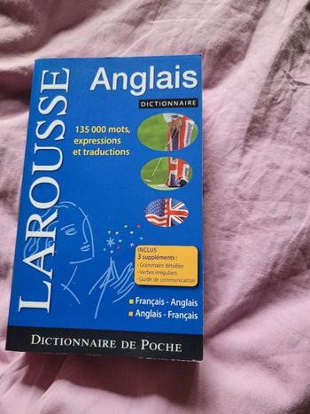Dictionnaire anglais Larousse 2008