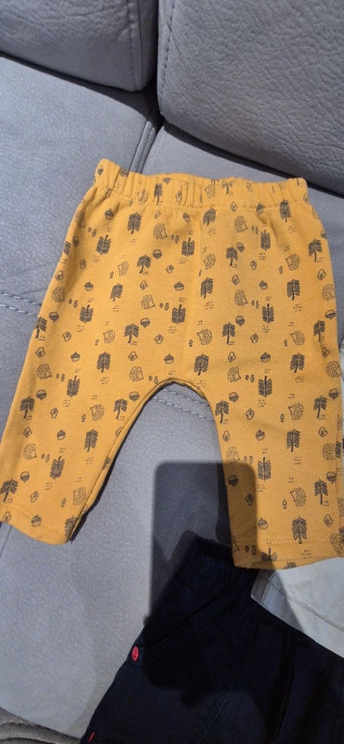 Lot pantalons 6mois - photo numéro 2