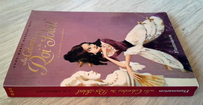 les colombes du roi-soleil - Charlotte, la rebelle - photo numéro 2