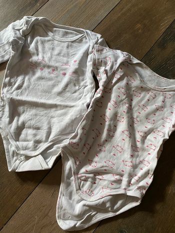 Lot de 2 bodies fille blancs petits chats rose