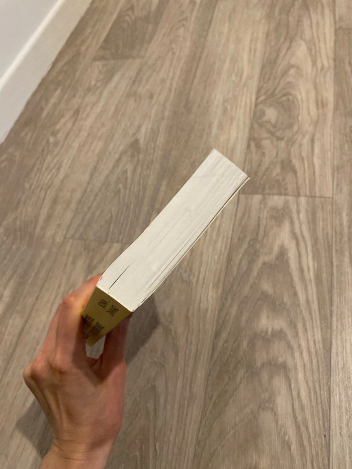 Roman coach - photo numéro 7