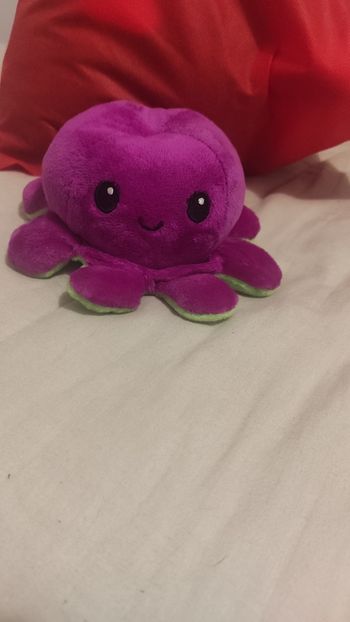 Peluche poulpe