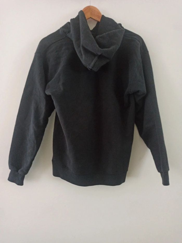 Pull a capuche thrasher - photo numéro 2