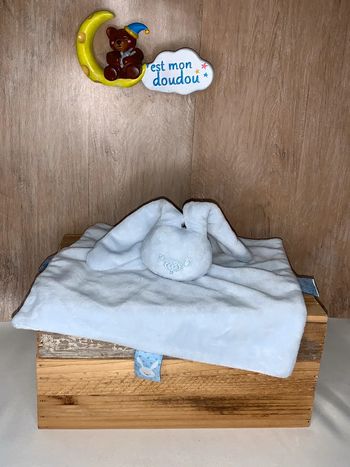 NT56 doudou lapin 🐰 nattou