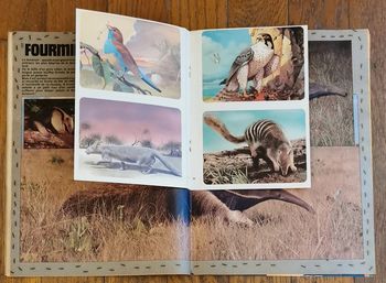 Ancien journal de mickey avec 4 fiches animaux n°1621 de 1983 vintage