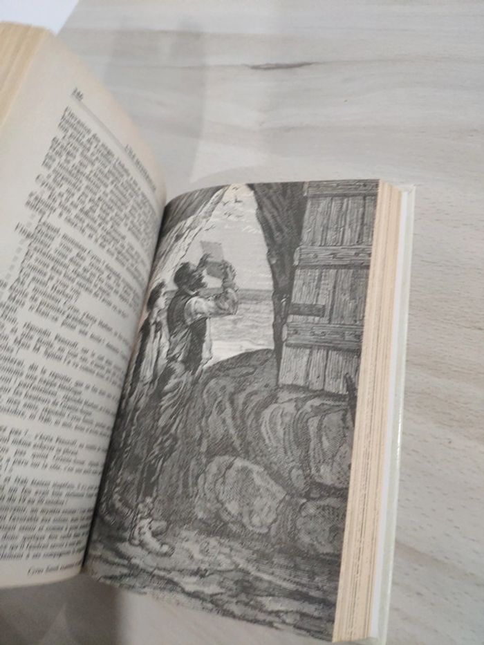 Livre grand format l'île mystérieuse Verne idéale bibliothèque gravures - photo numéro 10