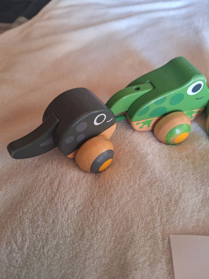 Grenouille - photo numéro 3