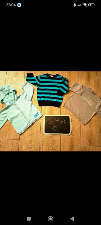 Lot pulls et gilet 12 mois