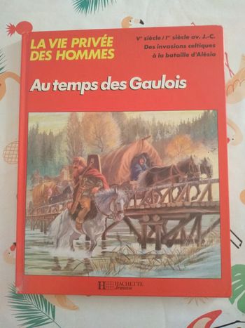 Livre Au Temps des Gaulois