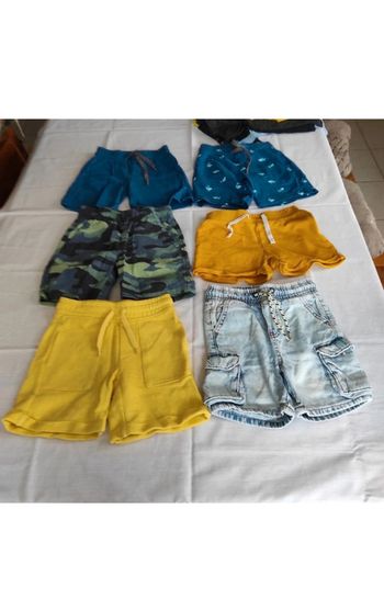 Lot 6 shorts