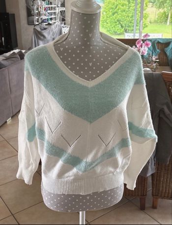 Pull bicolore 