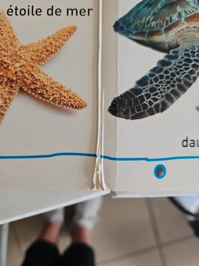 Lot livre - photo numéro 3