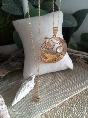 Collier pendentif sorcière avec boule de cristal en pierre de lune naturelle