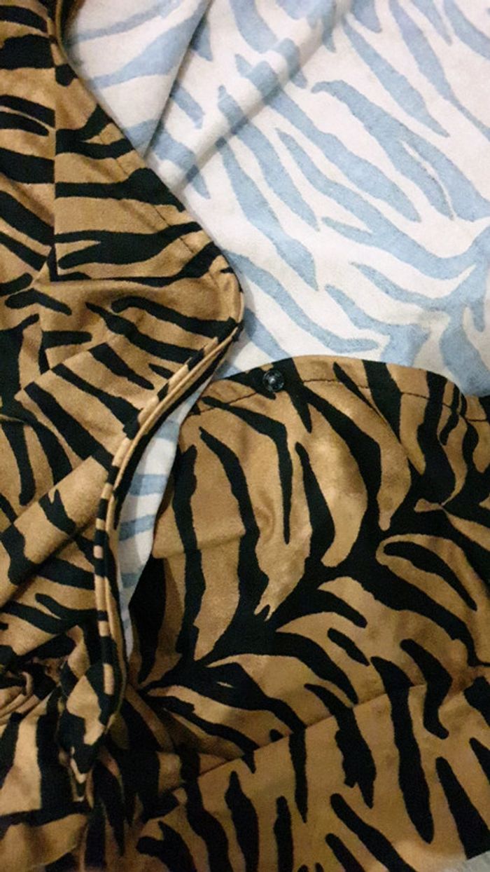 Robe Tigre - photo numéro 3