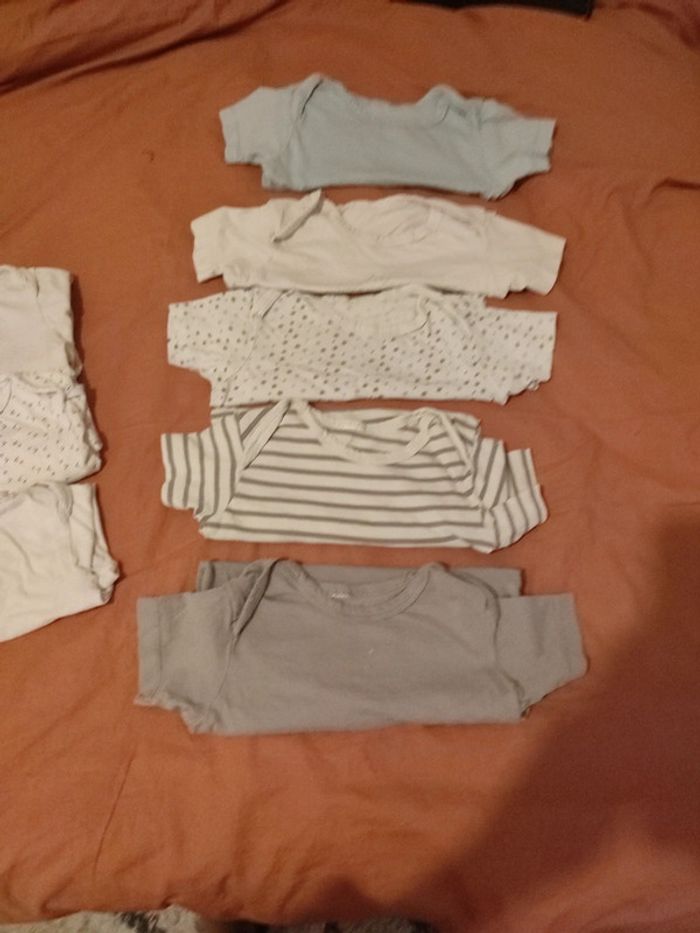 Lot 8 bodies