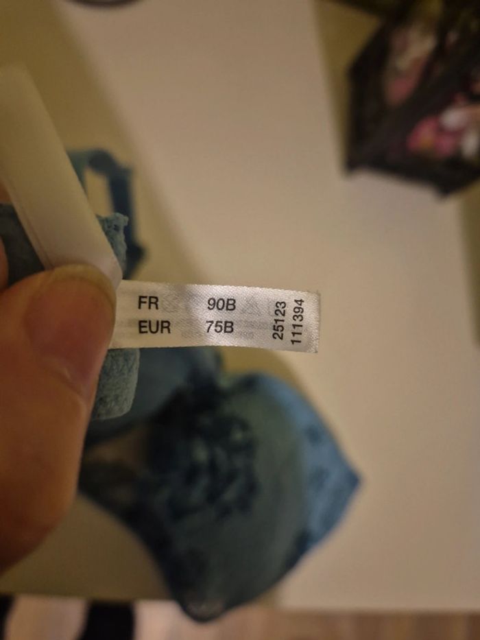 Soutien gorge - photo numéro 3