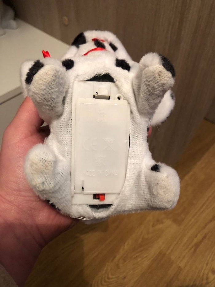 Chien qui marche - photo numéro 4