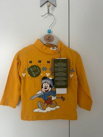 Sous pull Disney