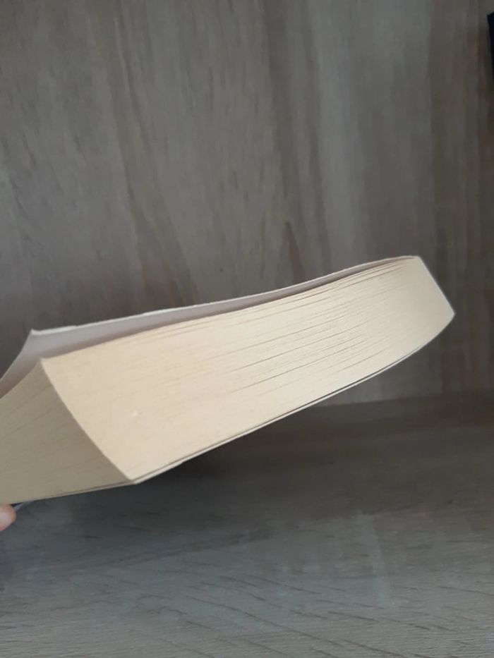 L'inconnu du Grand Canal - photo numéro 5