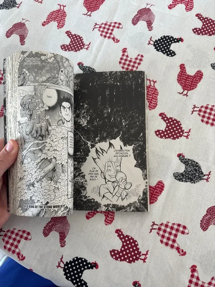 Manga Dr Stone n°228 - photo numéro 4