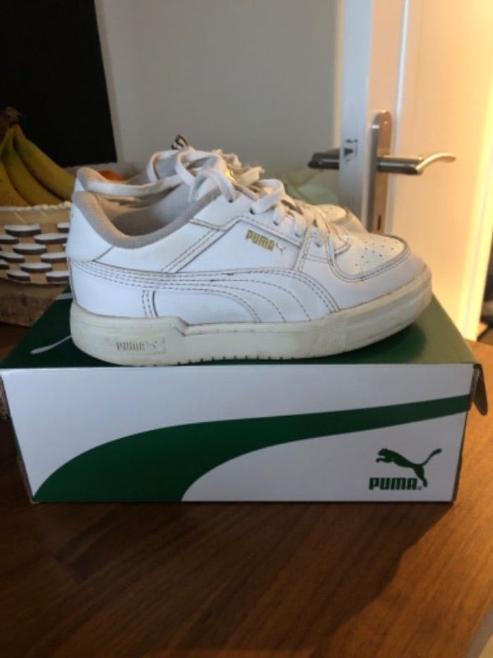 Basket puma
