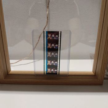 Pellicule démon slayer Tanjiro inosuke et zenitsu