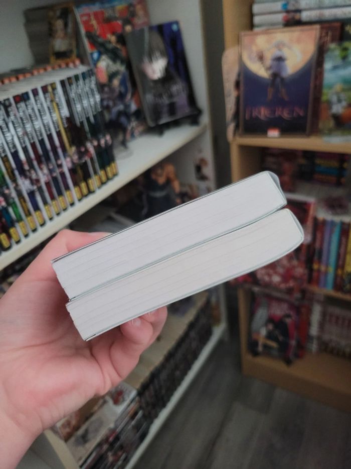 Lot deux romans du manga mashle - photo numéro 6