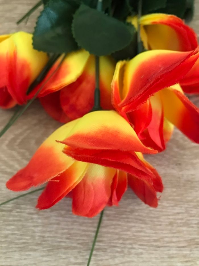 Fleurs - photo numéro 3