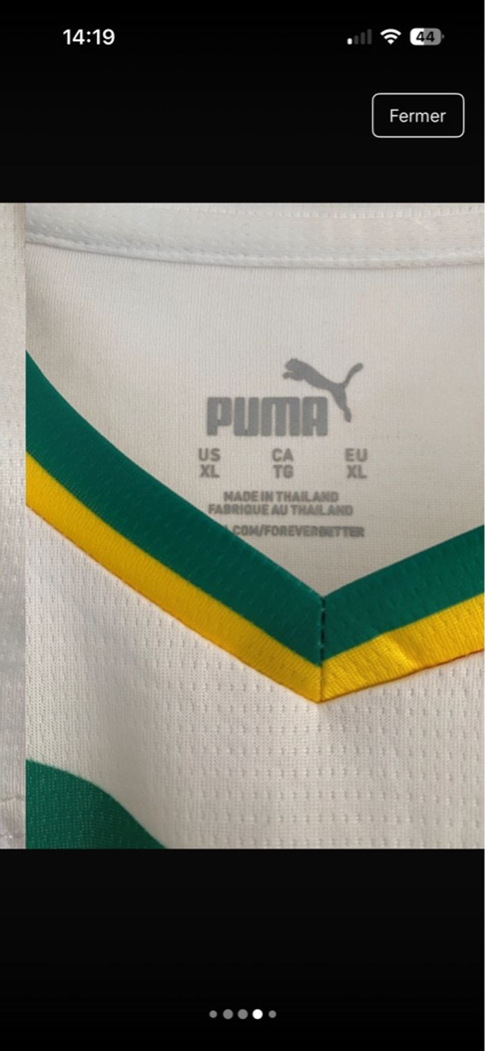 Maillot Sénégal Domicile - 2023-2024 - photo numéro 5