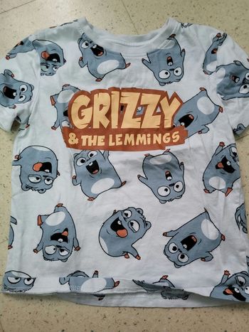 Tee shirt grizzy
