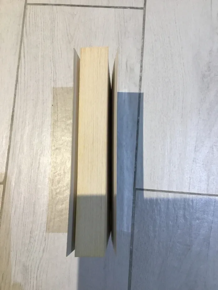 Divergente raconté par Quatre - photo numéro 3