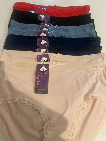 10 Culottes Dentelle Coton Stretch Fine Woman