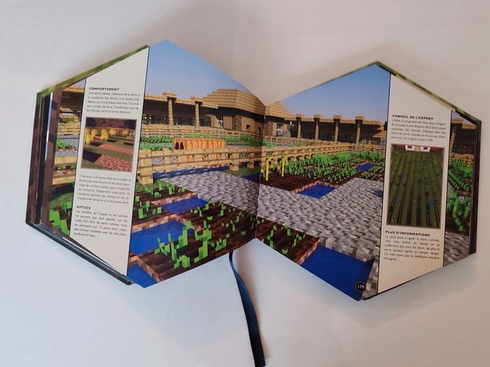 📚Livre Minecraft blockopedia - photo numéro 6