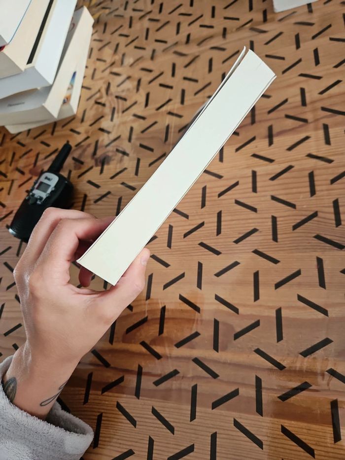 Livre Marie-sabine Roger - photo numéro 5