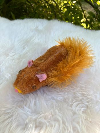 peluche Petit écureuil ( il ne fonctionne plus)