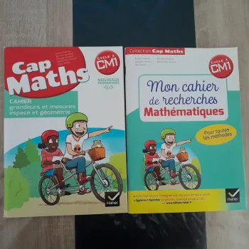 Lot 2 livres cap mats cm1