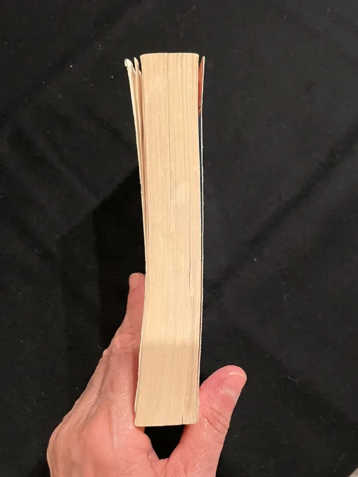 Mange, prie, aime de Elizabeth Gilbert - photo numéro 5