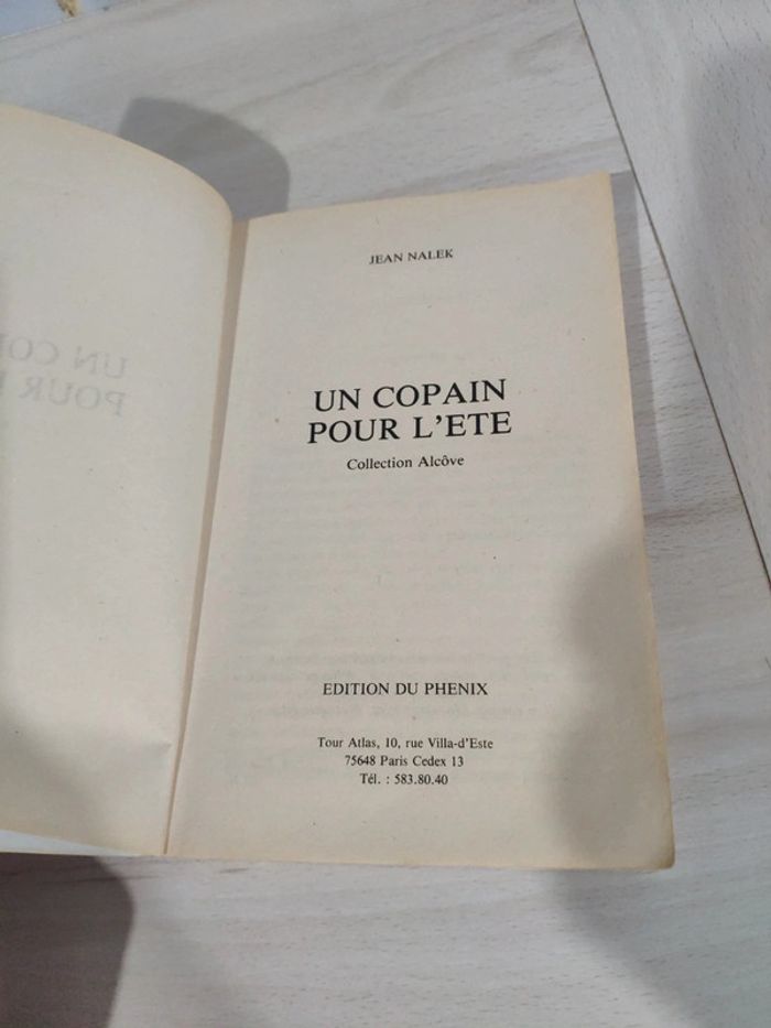 Livre poche érotique Un copain pour l'été Nalek collection Alcove adultes public averti - photo numéro 7