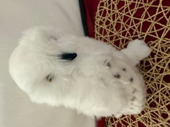 Peluche Hedwig - Harry Potter