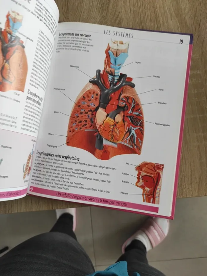 Livre le corps humain - photo numéro 5