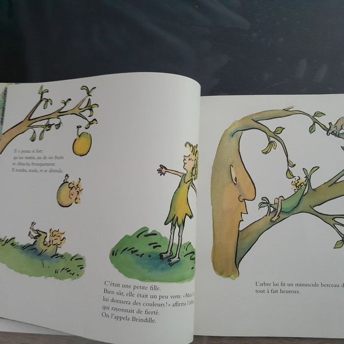 Grand album école des loisirs La fille de l'arbre - photo numéro 2