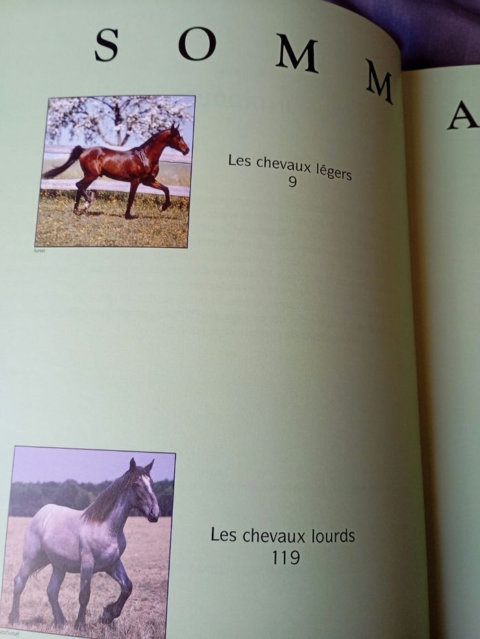 Les plus beaux chevaux du monde de - photo numéro 3