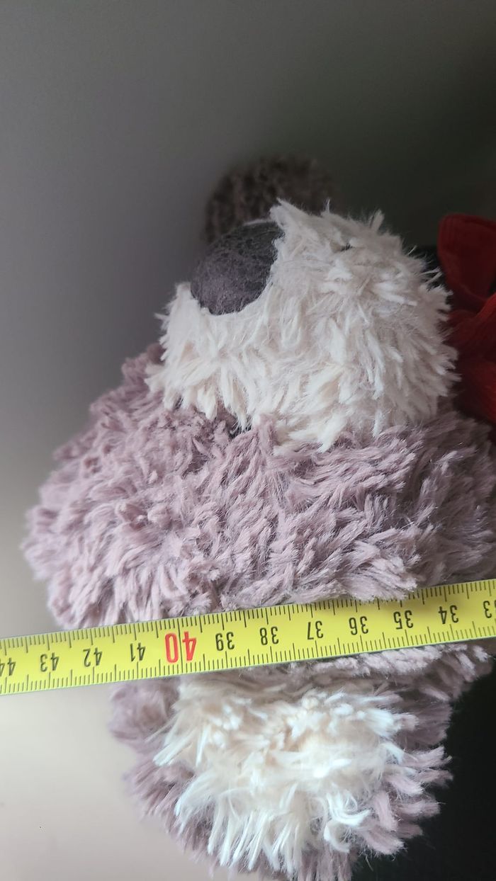 peluche ours - photo numéro 4