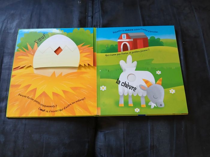 Livre cartonné avec rabats - photo numéro 4