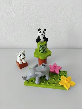 DUPLO Zoo Bébés Animaux Briques 🐼