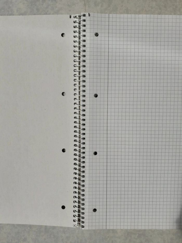 Cahier A4 - photo numéro 3