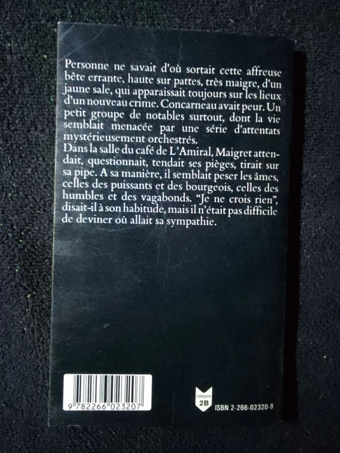 Simenon 🫧 Un chien jaune - photo numéro 2