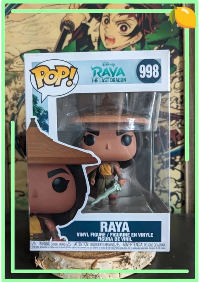 Raya 998 - photo numéro 2