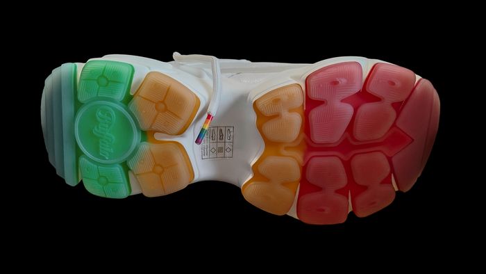 Buffalo rainbow lgbt - photo numéro 4